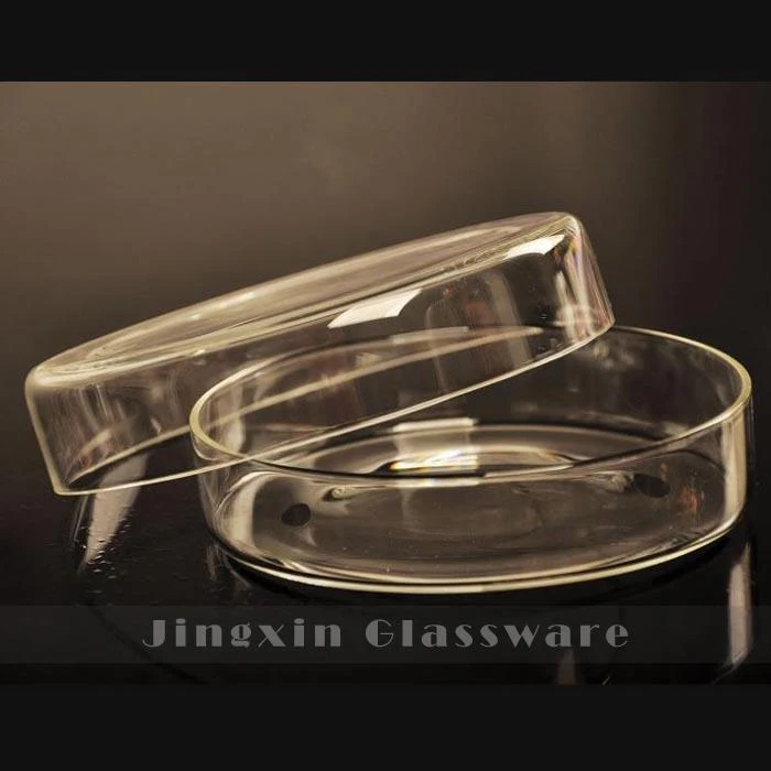 Đĩa Petri thủy tinh Borosilicate 100mm